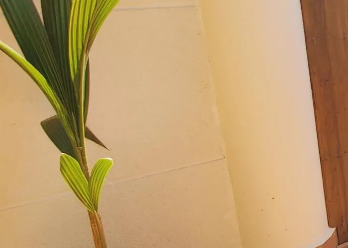 Casa Ana- Apartmento Moderno Costa Brava