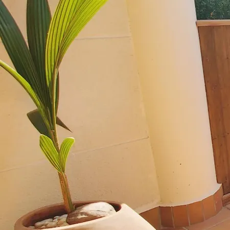 Casa Aurea - Apartmento Moderno Costa Brava